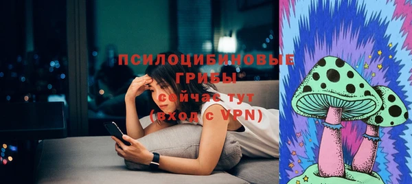 не бодяженный Алексин